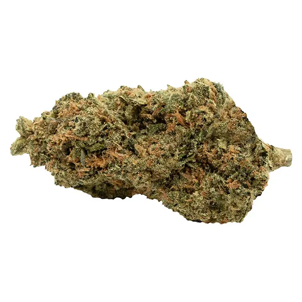 Bud image for C99 Haze, cannabis all products by Soar