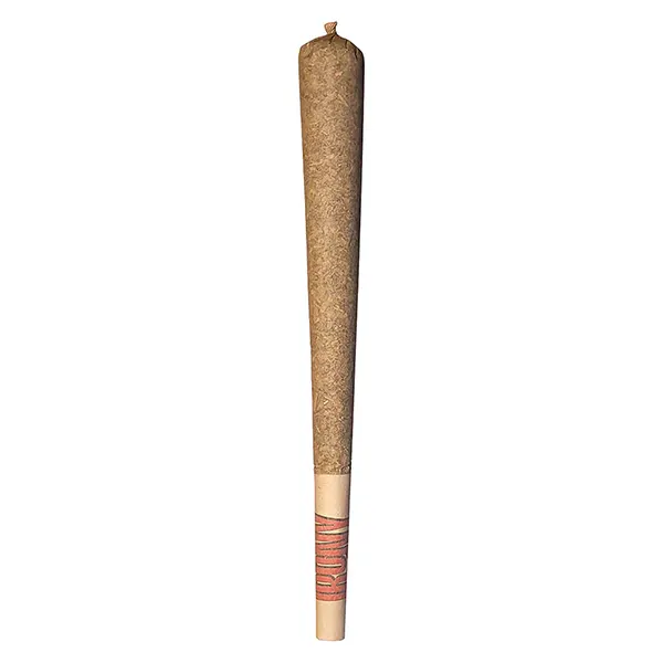 Image for Cannon Pre-Roll