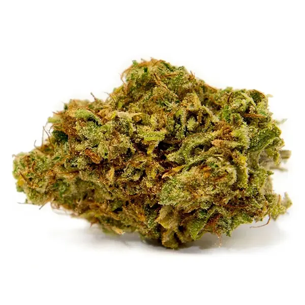 Product image for Pedro's Sweet Sativa, Cannabis Flower by Color Cannabis