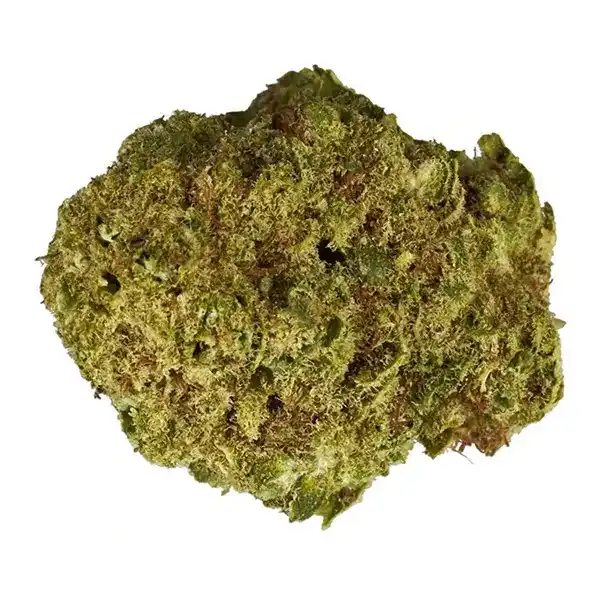 Product image for White Shark, Cannabis Flower by Color Cannabis