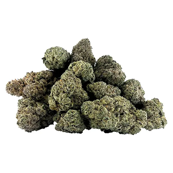 Bud image for CoCo Thunder, cannabis dried flower by BC OZ