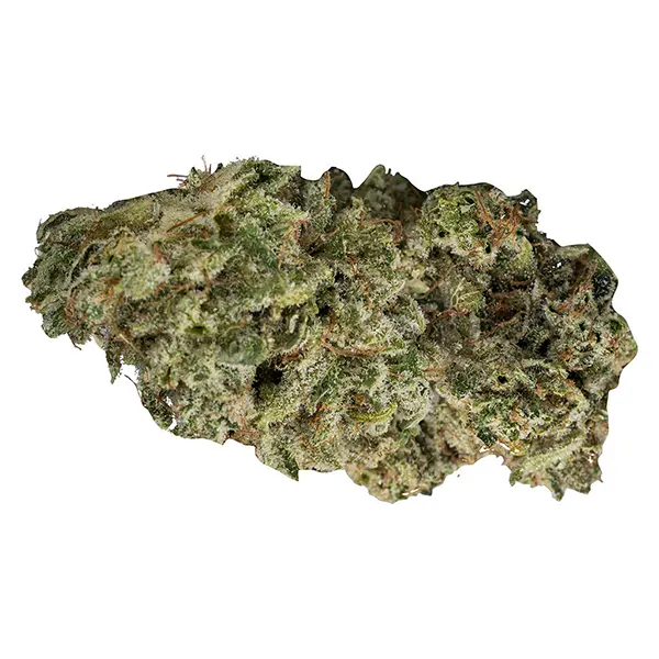 Image for DBL Dutch