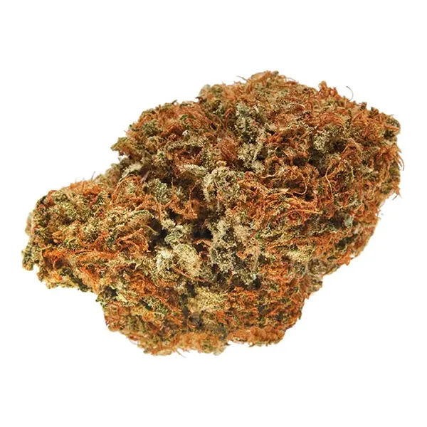 Product image for Cloudburst, Cannabis Flower by Van Der Pop