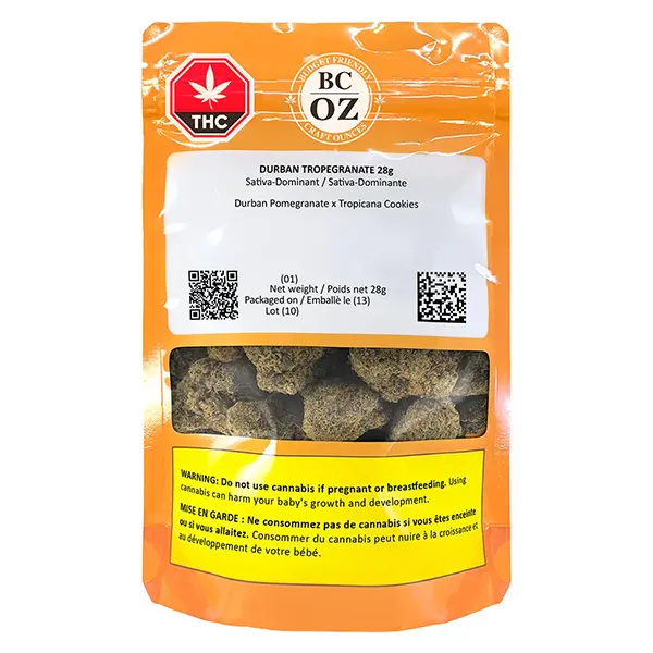 Durban Tropegranate (Dried Flower) by BC OZ