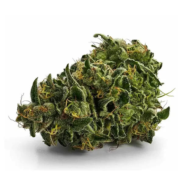 Product image for Herringbone, Cannabis Flower by Tweed