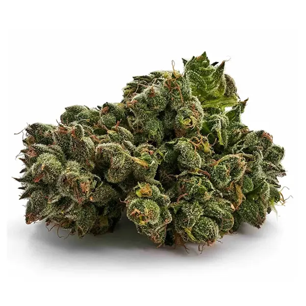 Bud image for UK Cheese, cannabis dried flower by Tweed