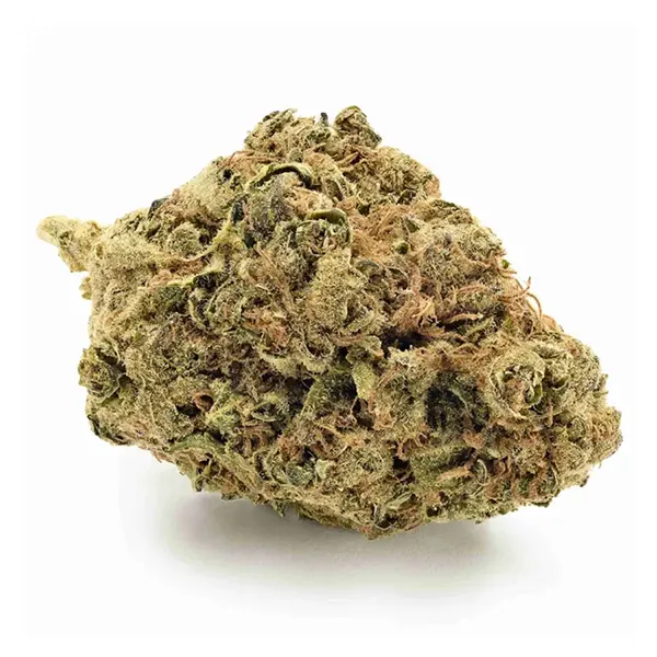 Product image for Daily Rind, Cannabis Flower by Symbl