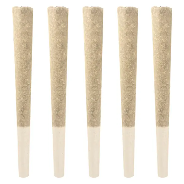 Image for Gas Pack Pre-Roll, cannabis pre-rolls by Dom Jackson