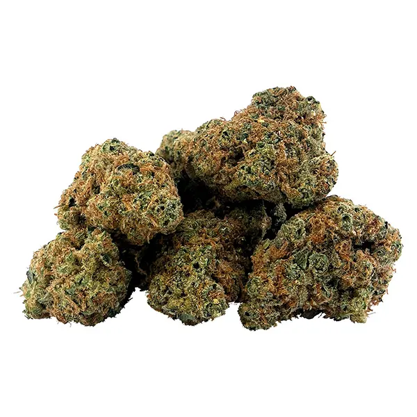 Image for Gasserole