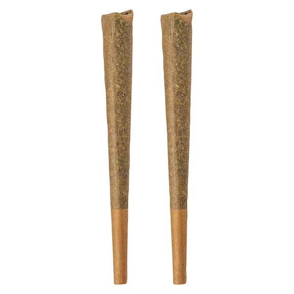 Image for GLAZED Sativa Pre-Roll, cannabis pre-rolls by BOLD