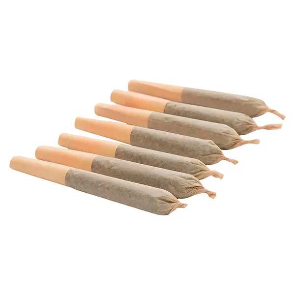 Image for Gluerangutan Pre-Roll, cannabis all products by Good Buds