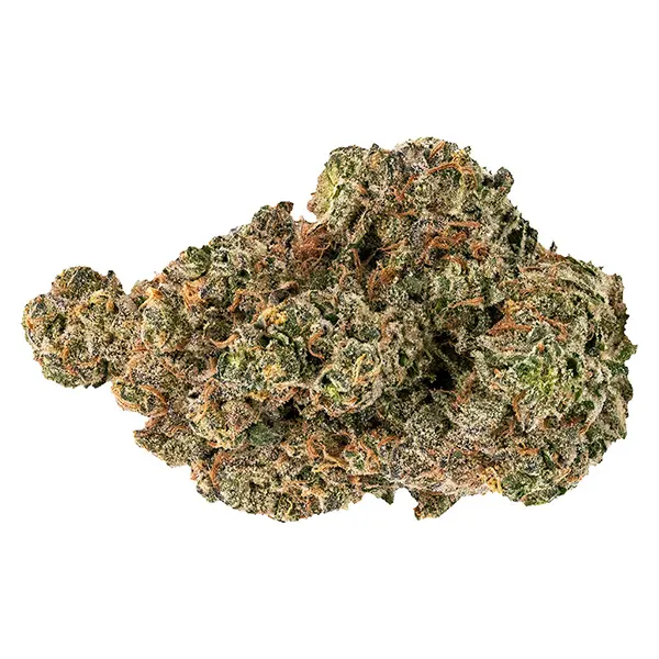 Bud image for Golden Hour - Dried Flower, cannabis dried flower by FIGR