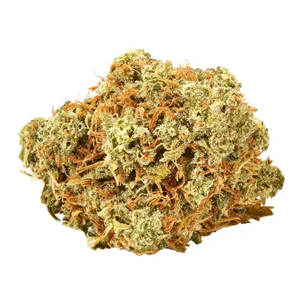 Bud image for Solar Power, cannabis dried flower by Symbl