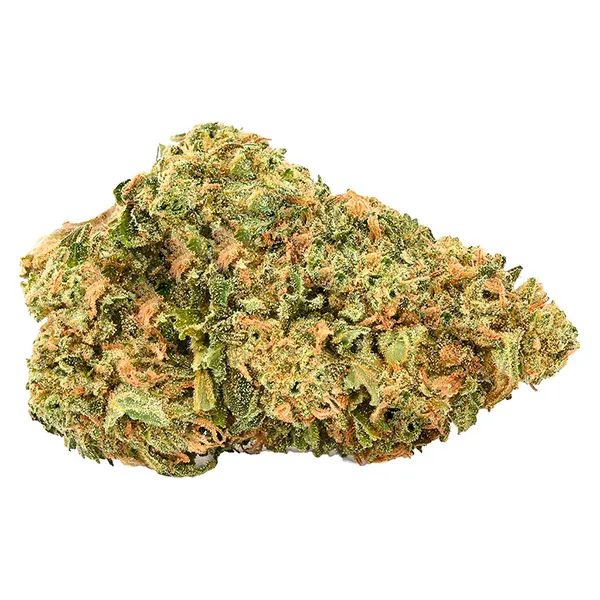 Bud image for Gorilla Ghost, cannabis dried flower by 5 Points Cannabis