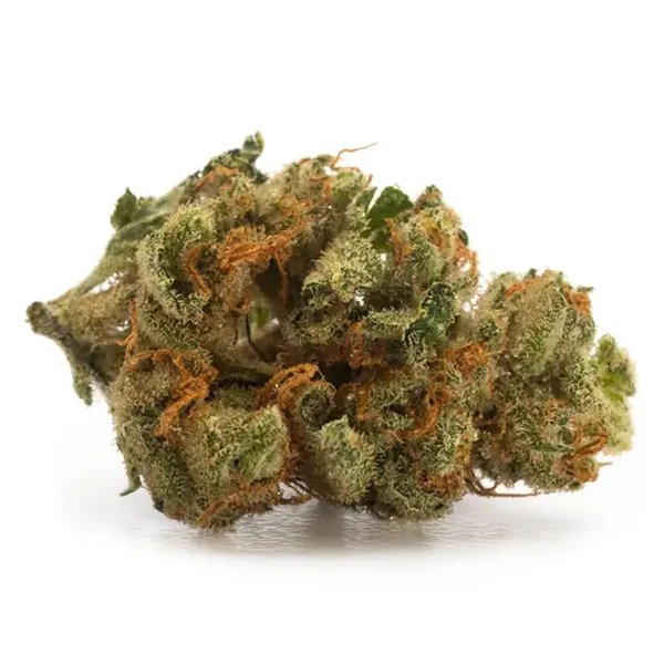 Moonbeam (Dried Flower) by LBS