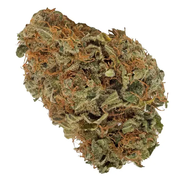 THC Indica (Dried Flower) by THC BioMed