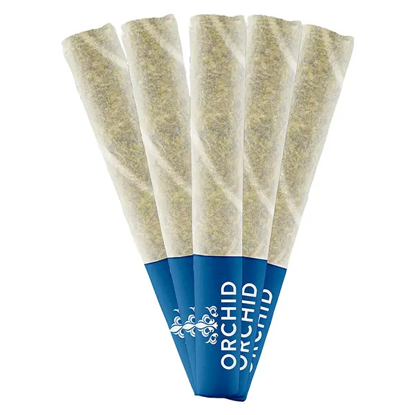 Image for Jean Guy CBD Pre-Roll, cannabis pre-rolls by Orchid CBD