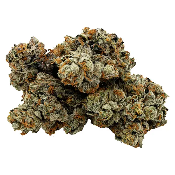 Image for Jet fuel Gelato x Pinesoul