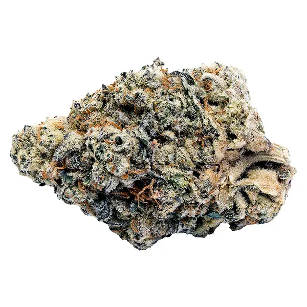 Bud image for Jokerz Cndy, cannabis all products by Tenzo