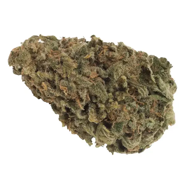 Product image for THC Sativa, Cannabis Flower by THC BioMed