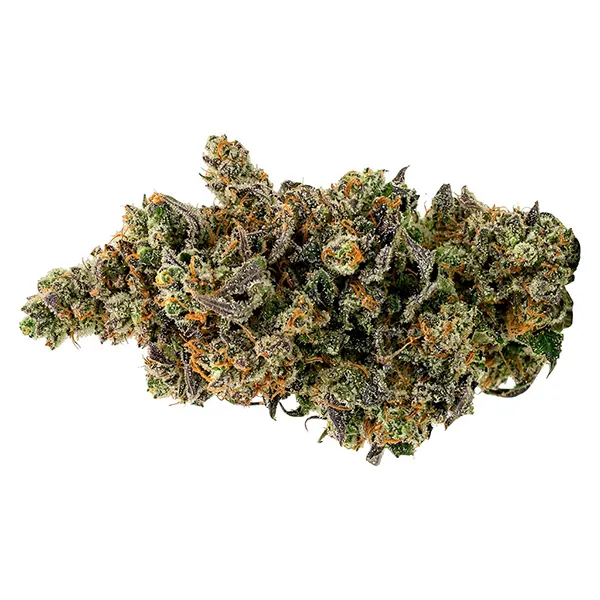 Image for Kush Mintz