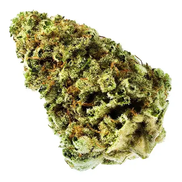 Bud image for Jean Guy, cannabis all flower by 7Acres