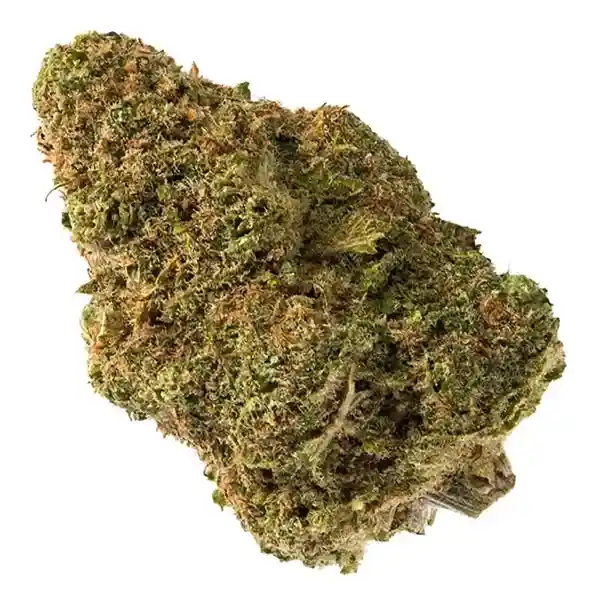 Bud image for White Widow, cannabis dried flower by 7Acres