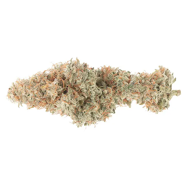 Mango Cake Dry F..