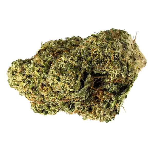 Product image for Sensi Star, Cannabis Flower by 7Acres