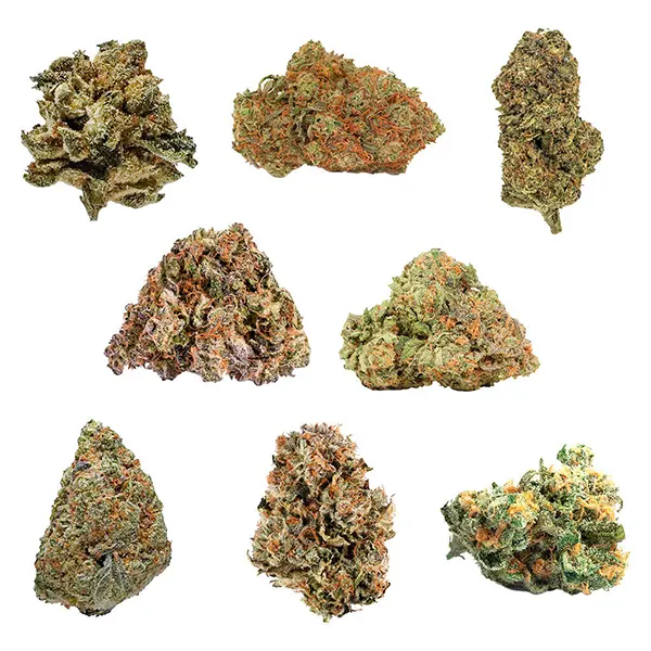 Image for Mix N Zip Variety Oz
