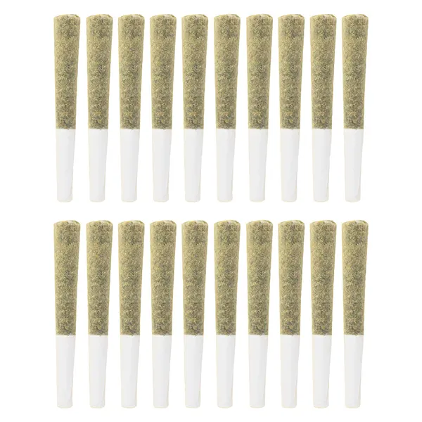 Image for Multi G Pack Pre-Roll