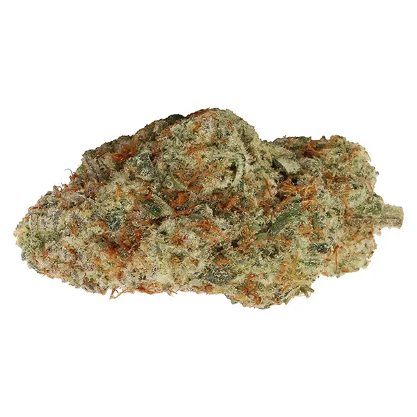 Bud image for Myrtle Beach, cannabis dried flower by Carmel