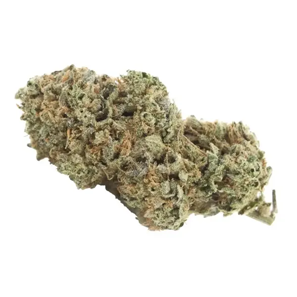 Cold Creek Kush (Dried Flower) by Vertical