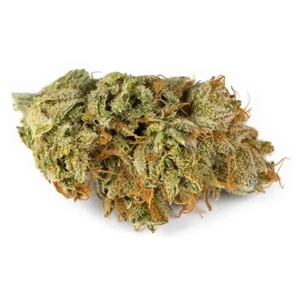 Product image for Campfire, Cannabis Flower by AltaVie