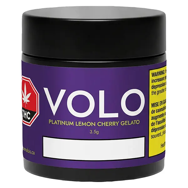 Platinum Lemon Cherry Gelato (Dried Flower) by Volo