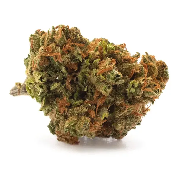 Bud image for Lemon Skunk, cannabis all categories by DNA Genetics