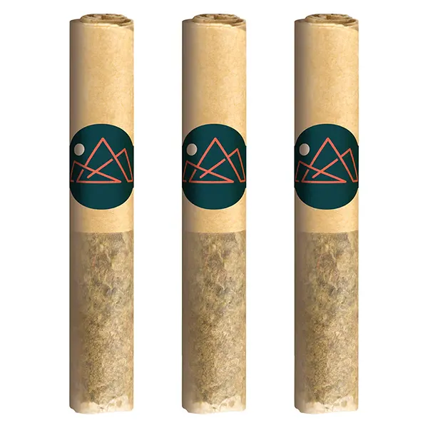 Image for Pure Moroccan Hash Pre-rolls