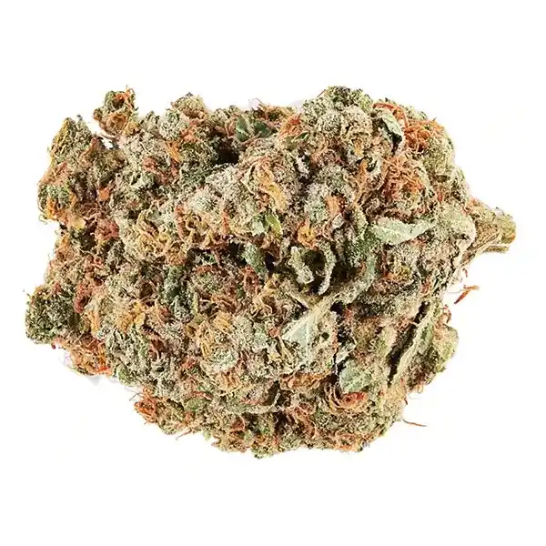 Product image for No. 28 Craft, Cannabis Flower by FIGR
