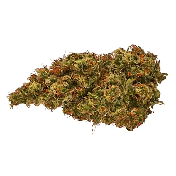 Product image for Discover Organic, Cannabis Flower by TGOD