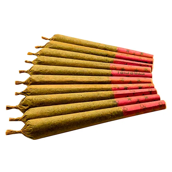 Image for Stargals Pre-Roll