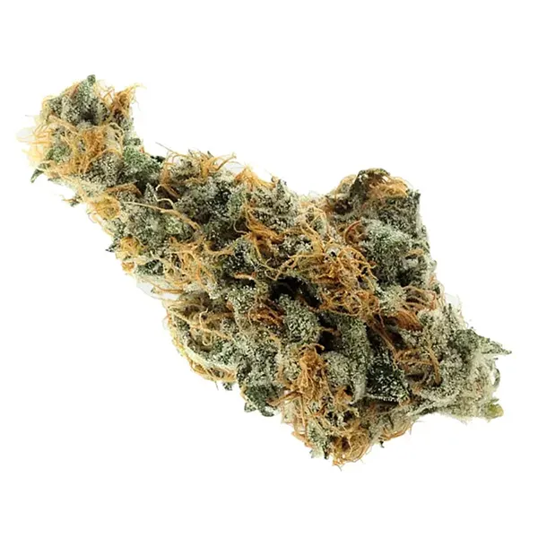 Product image for M. Great White Shark, Cannabis Flower by Royal High