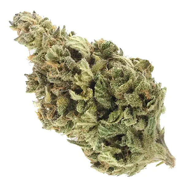 Product image for Super Skunk, Cannabis Flower by Royal High