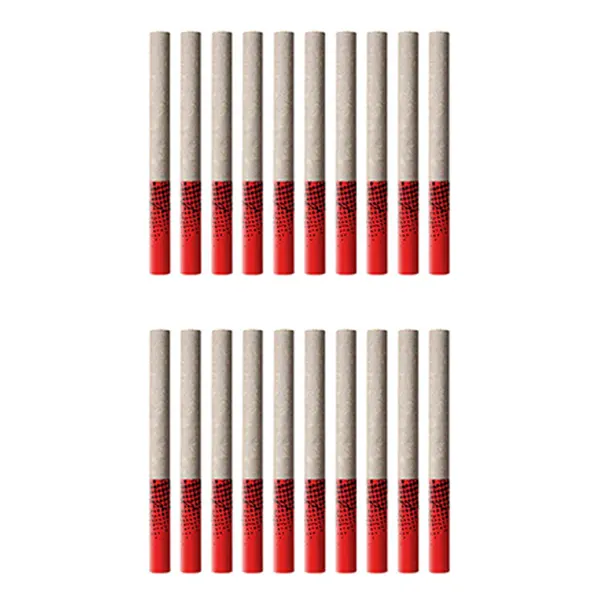 Image for Tropicanna Tangie Tube Style Pre-Roll