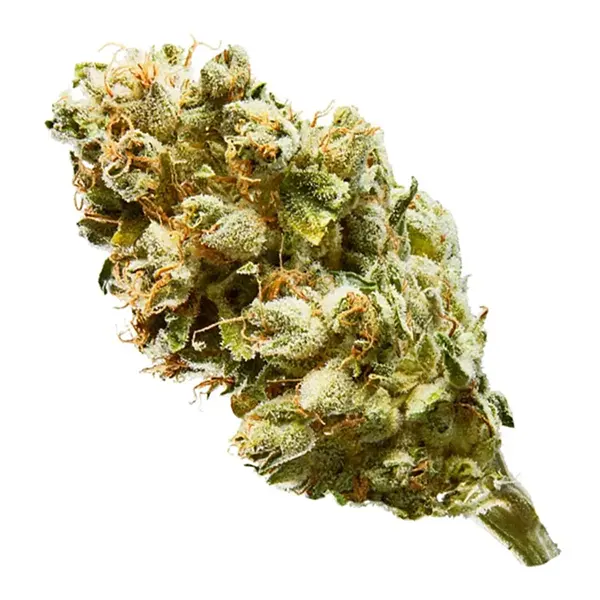 Product image for Eldo, Cannabis Flower by UP