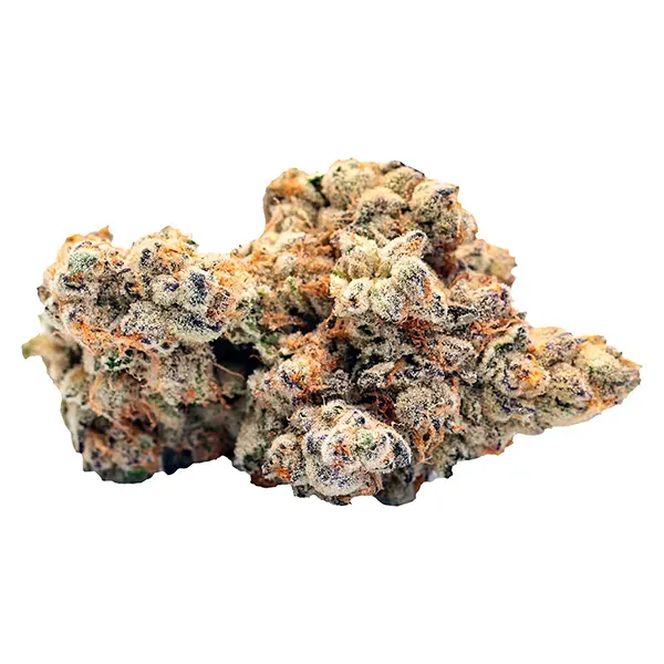 After 8 (Dried Flower) by BLKMKT