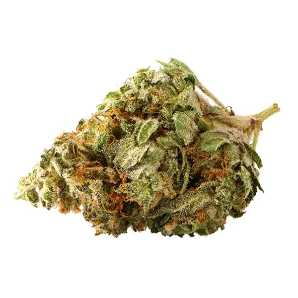 Product image for Lift Citrus Punch, Cannabis Flower by Sundial
