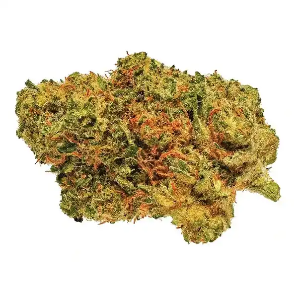 Product image for Great White Shark, Cannabis Flower by San Rafael '71