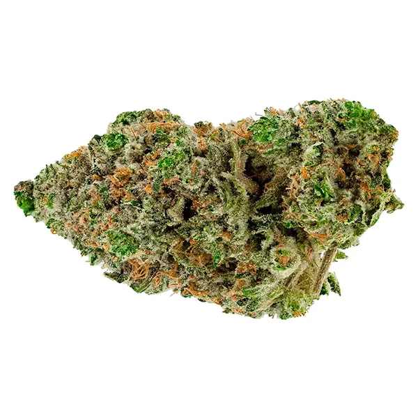 Bud image for BC Organic Hibachi Blue, cannabis all products by Simply Bare