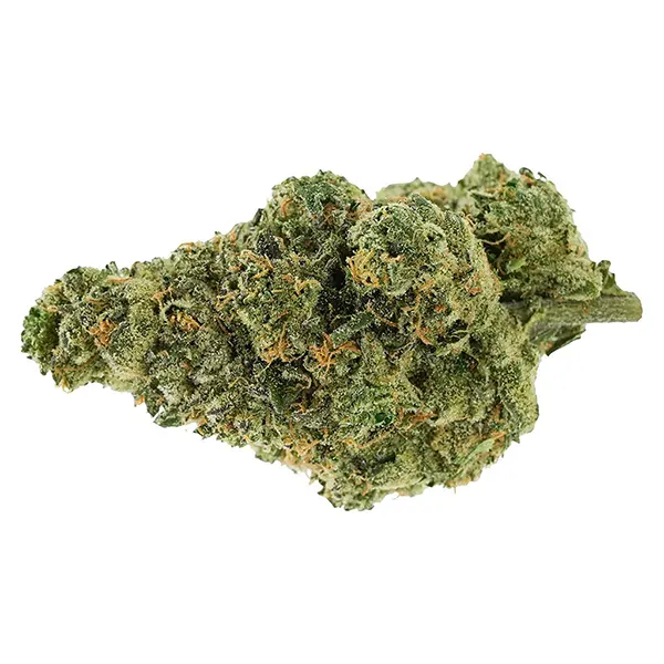 Bud image for BC Organic Lime Drizzle, cannabis dried flower by Simply Bare