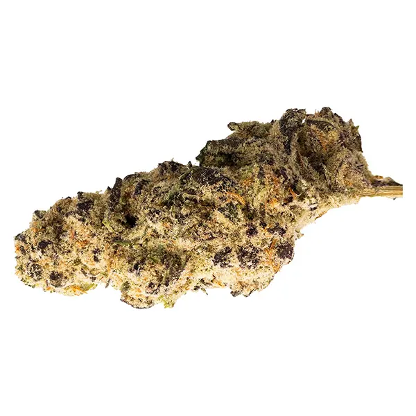 Bud image for BIG Craft Eighth, cannabis dried flower by BIG